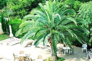 Bluewater Hotel Colonia de Sant Jordi 3*,